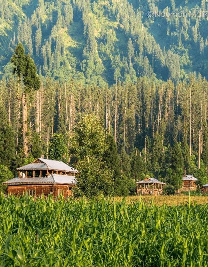 Neelam valley